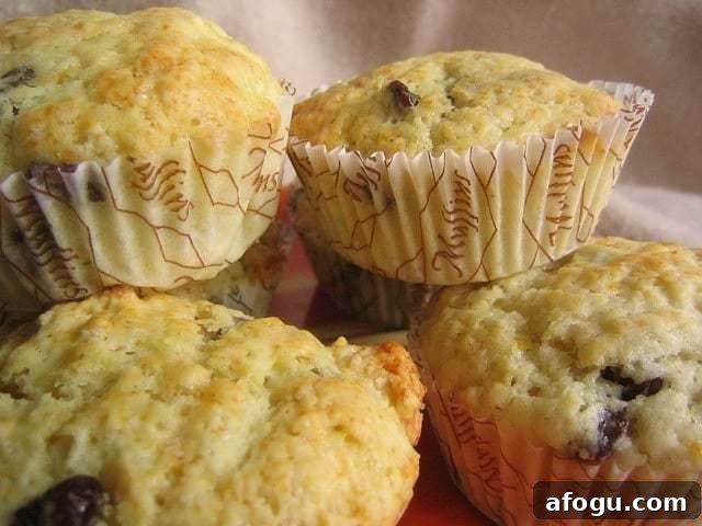 gluten free lemon cranberry muffins