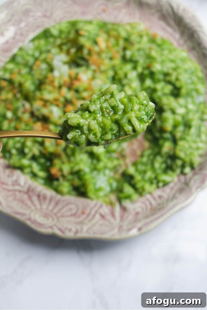 Hand holding up a small gold spoon with green wild garlic risotto on it.
