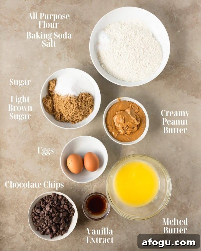 Chewy Peanut Butter Chocolate Chip Bars Recipe 3 Dry and wet ingredients for peanut butter chocolate chip bars.