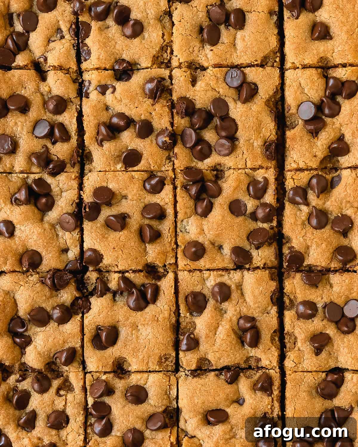 Chewy Peanut Butter Chocolate Chip Bars Recipe 7 Serve peanut butter chocolate chip bars warm with ice cream.
