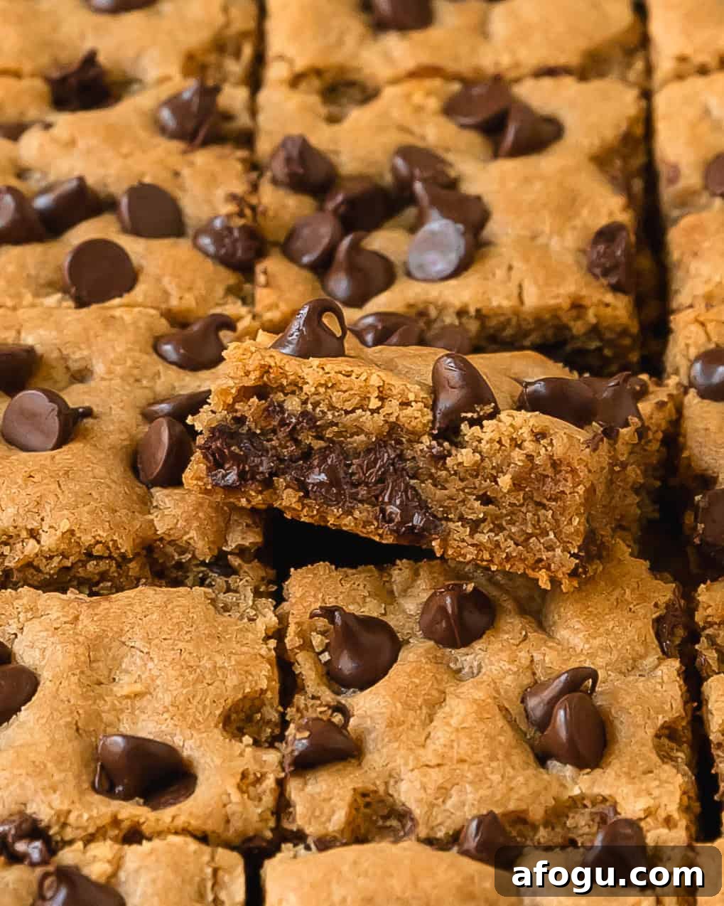 Chewy Peanut Butter Chocolate Chip Bars Recipe 8 Freshly baked peanut butter chocolate chip bars.