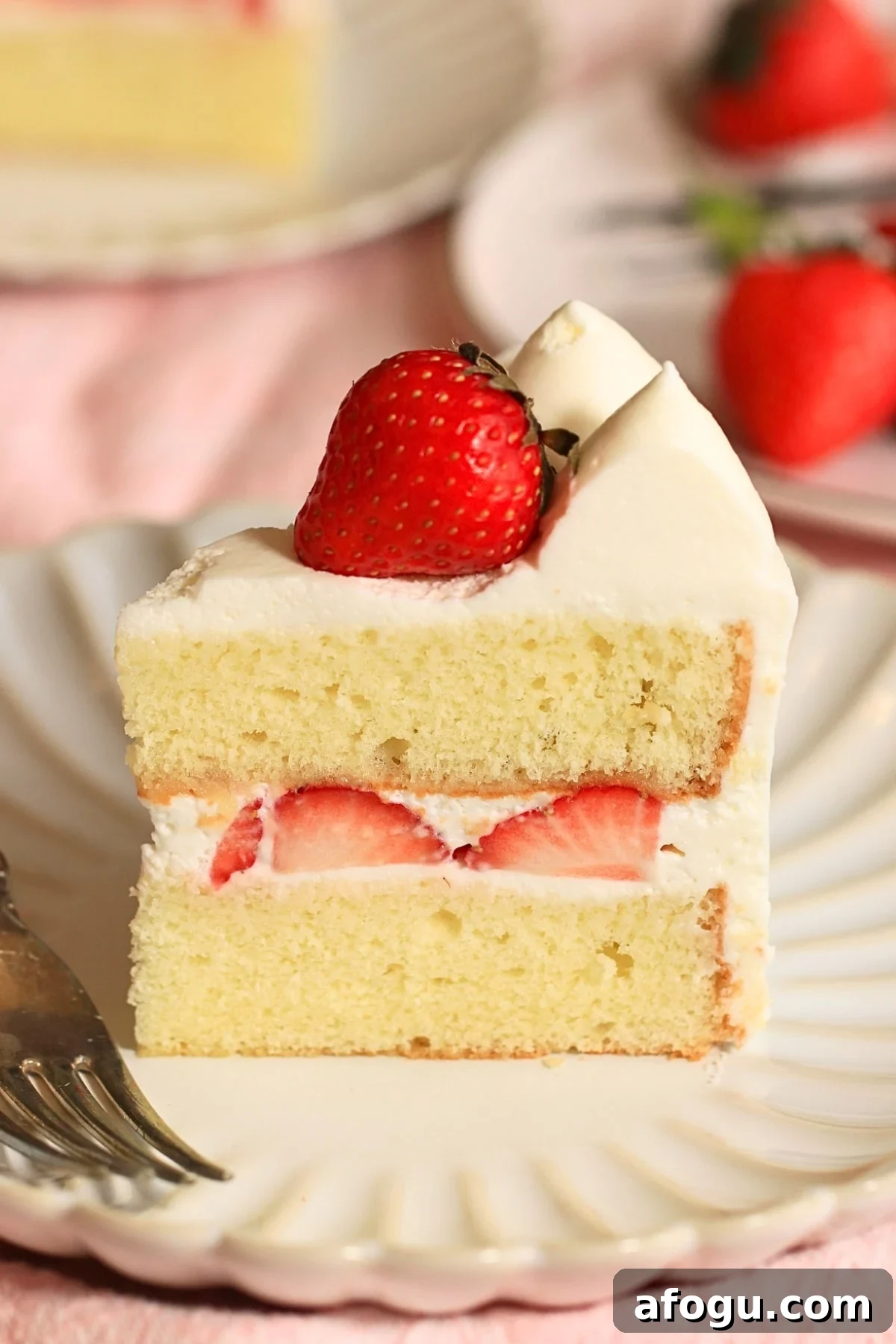 Japanese Strawberry Shortcake Recipe: Fluffy Shortcake with Fresh Strawberries 2 A slice of fluffy Japanese strawberry shortcake on a plate.