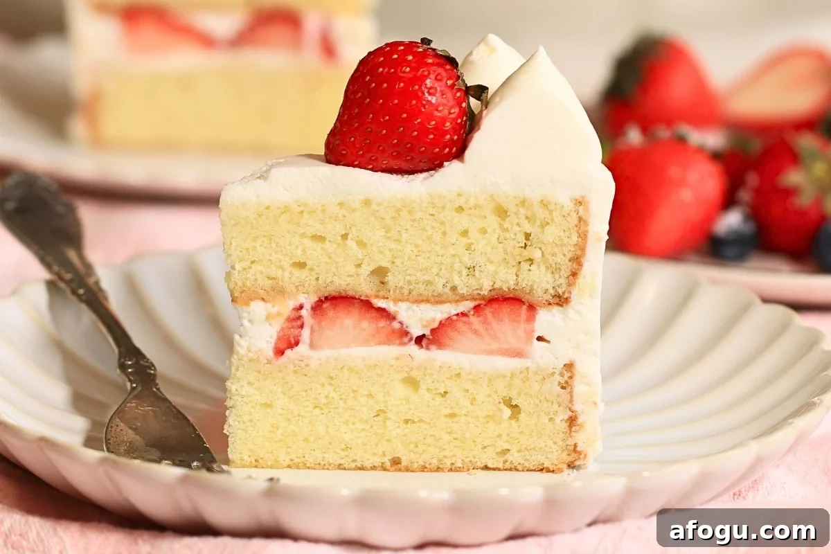 Japanese Strawberry Shortcake Recipe: Fluffy Shortcake with Fresh Strawberries 6 A slice of Japanese strawberry shortcake on a plate.