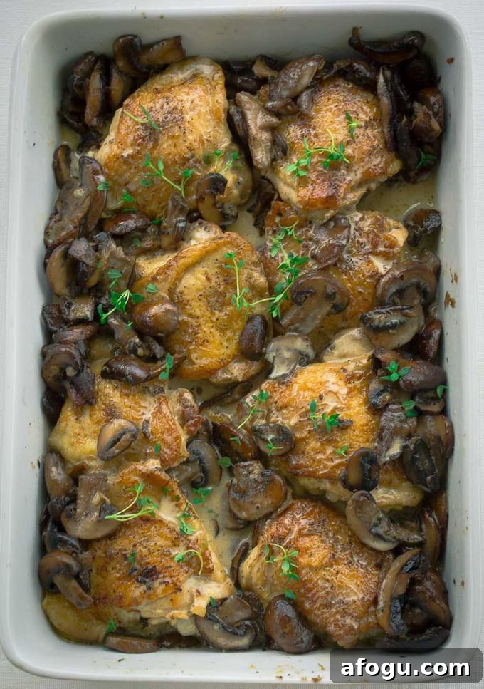 Rectagular white baking dish with 8 Crispy Roasted Chicken Thighs with Mushrooms and Cream Sauce 