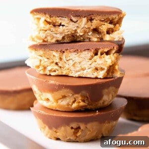 No Bake Chocolate Peanut Butter Oatmeal Cups (GF)