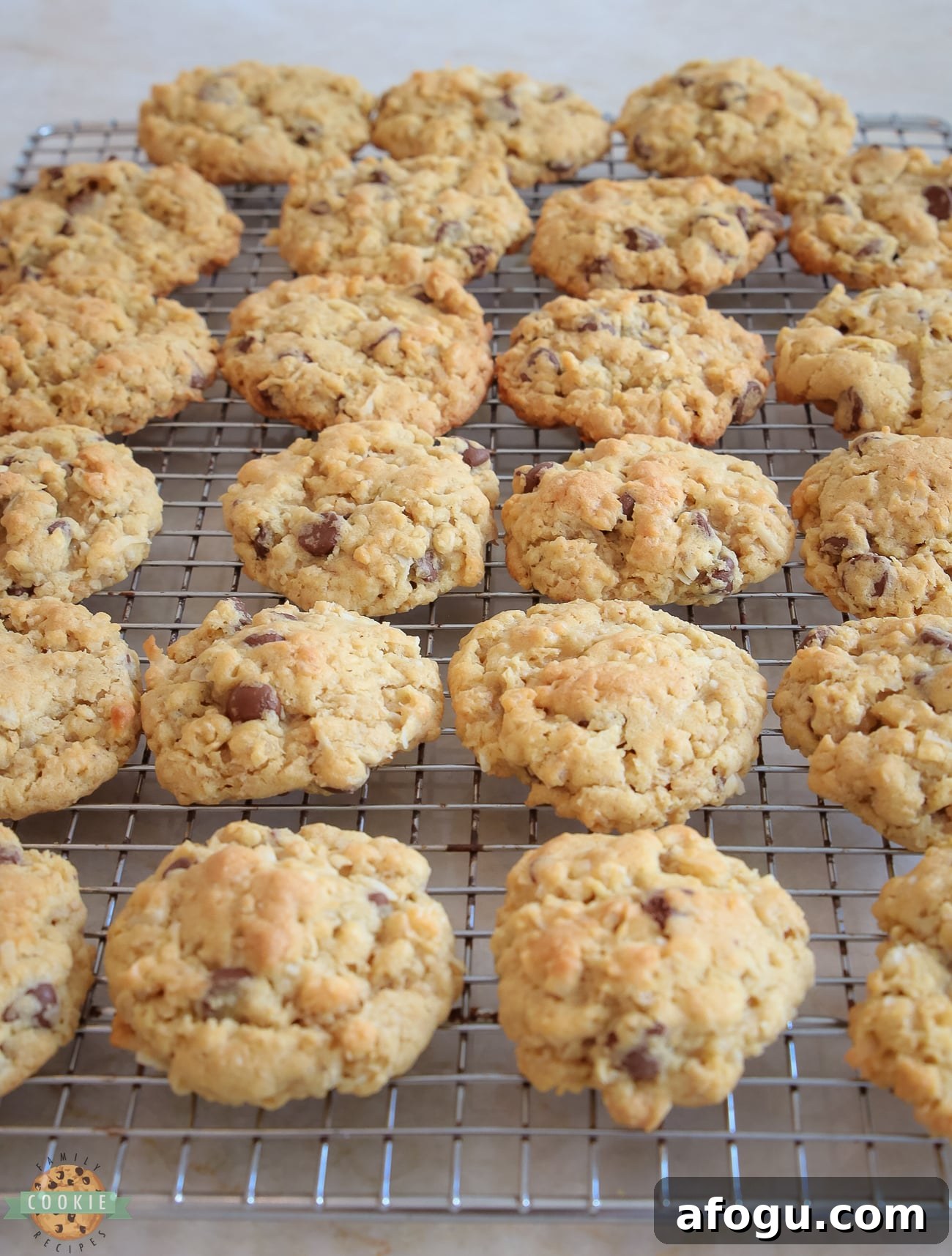 Chocolate Chip Ranger Cookies Recipe — Chewy Camp-Style Treats 5 Ranger cookies on a cooling rack