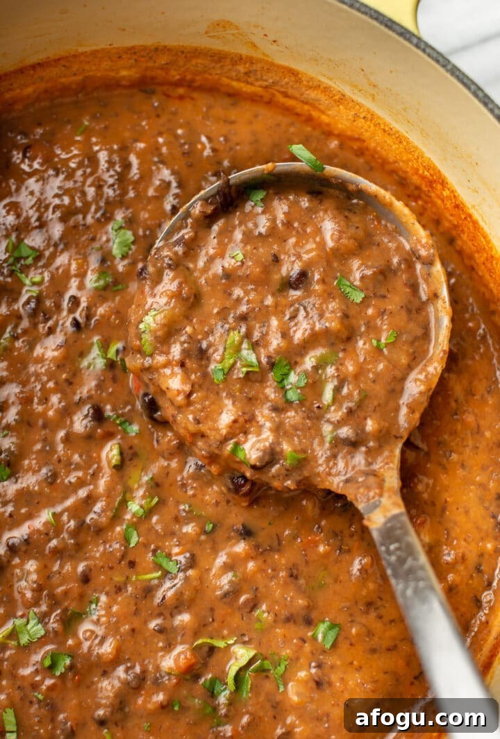 a ladle in a pot of black bean soup