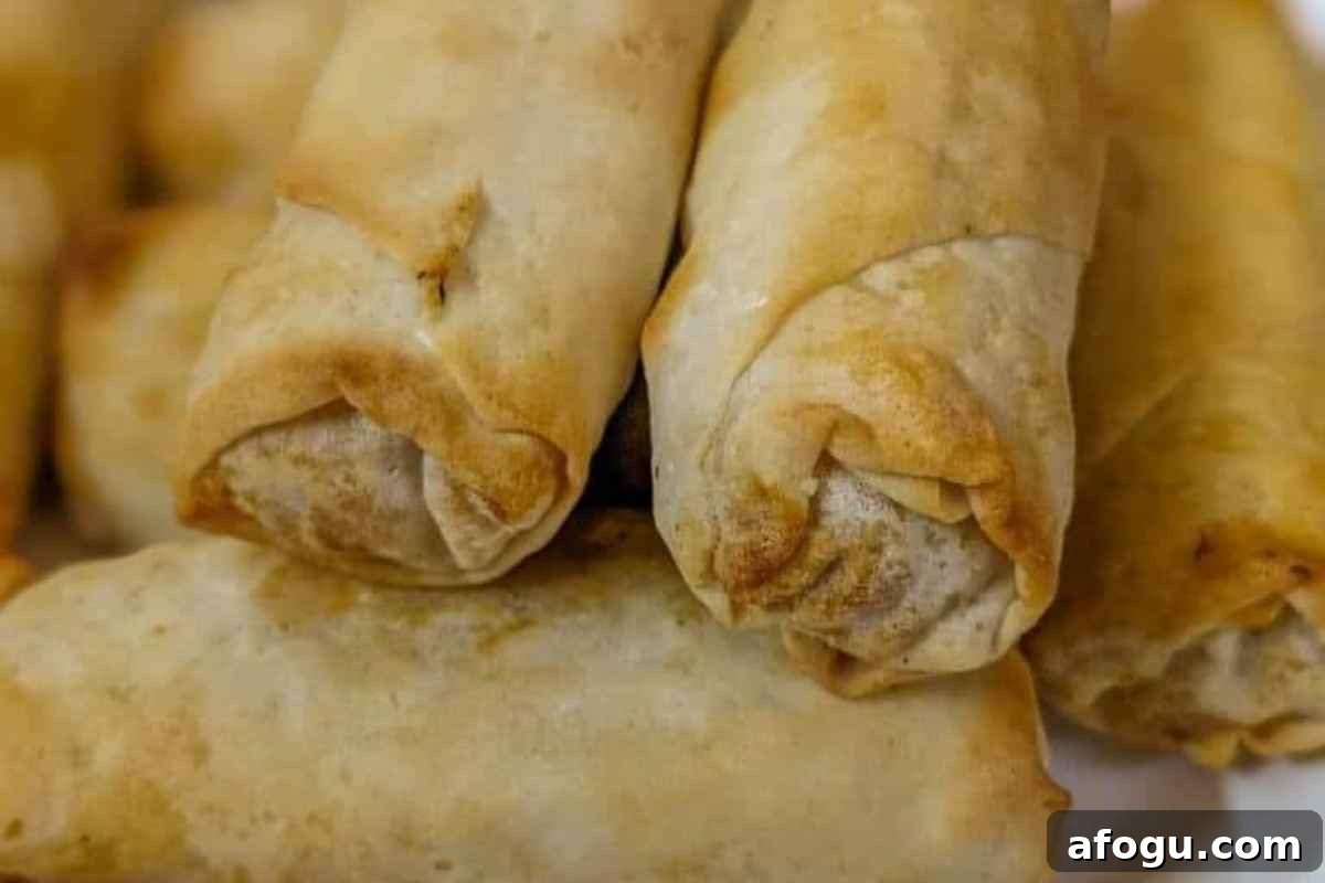 Spring rolls on a plate