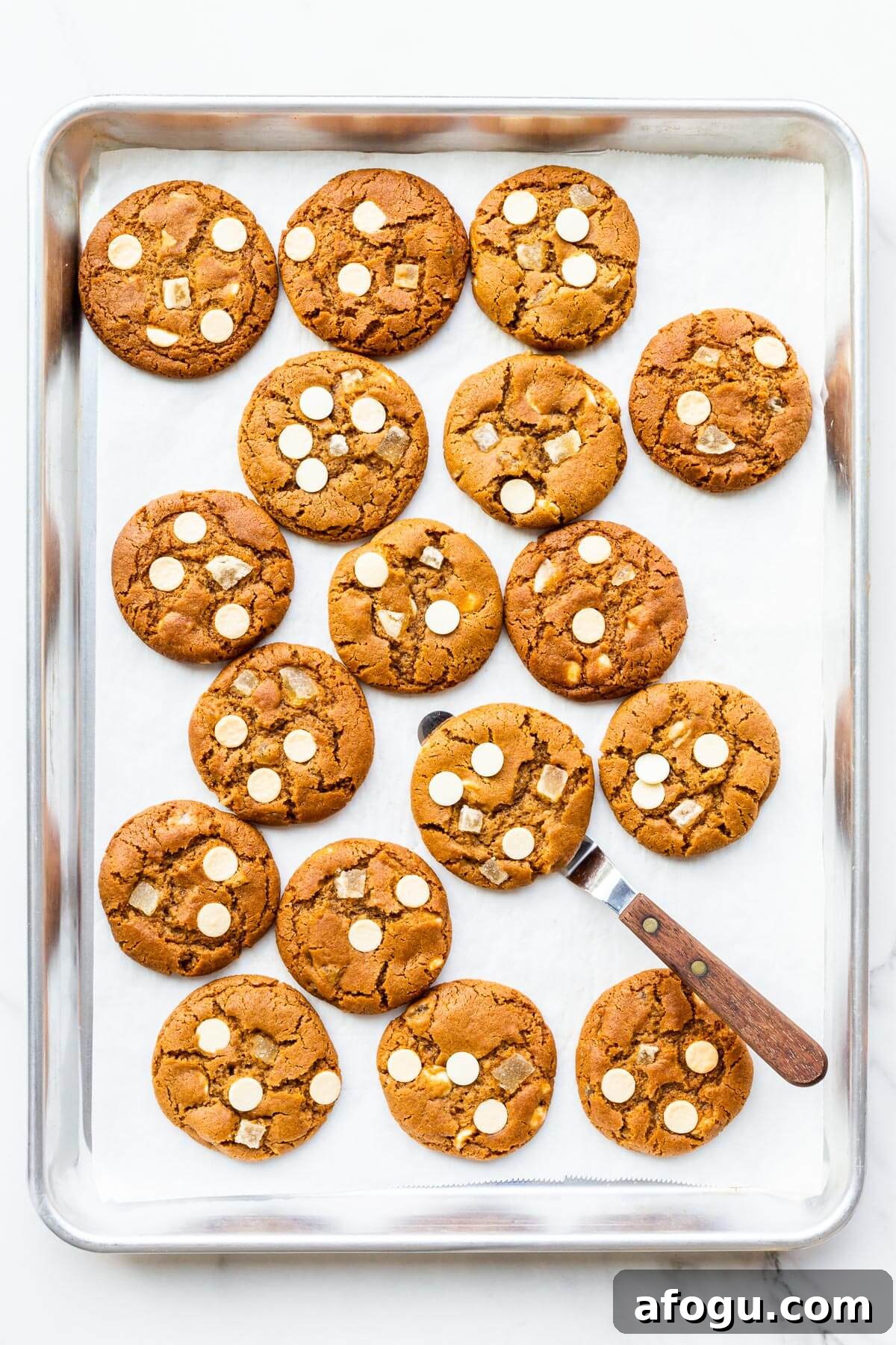 Freshly baked ginger white chocolate cookies cooling slightly on a sheet pan to firm them up before transferring to a cooling rack.