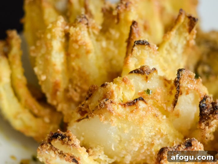 Image for How to Make an Air Fried Blooming Onion (Gluten-Free)