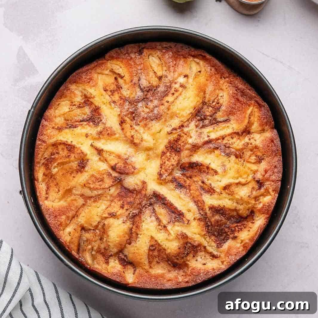 Moist Pear Cake Recipe — 20-Minute Prep, Simple Steps 11 A freshly baked easy moist pear cake with a golden caramelized cinnamon-sugar crust resting in the cake pan.
