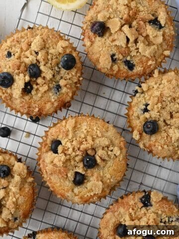 A tray of bakery style blueberry muffins cooling on a baking rack.