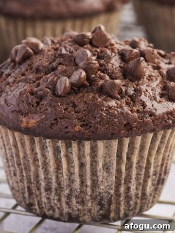 A close-up of a moist and fluffy double chocolate banana muffin with gooey chocolate chips on top.