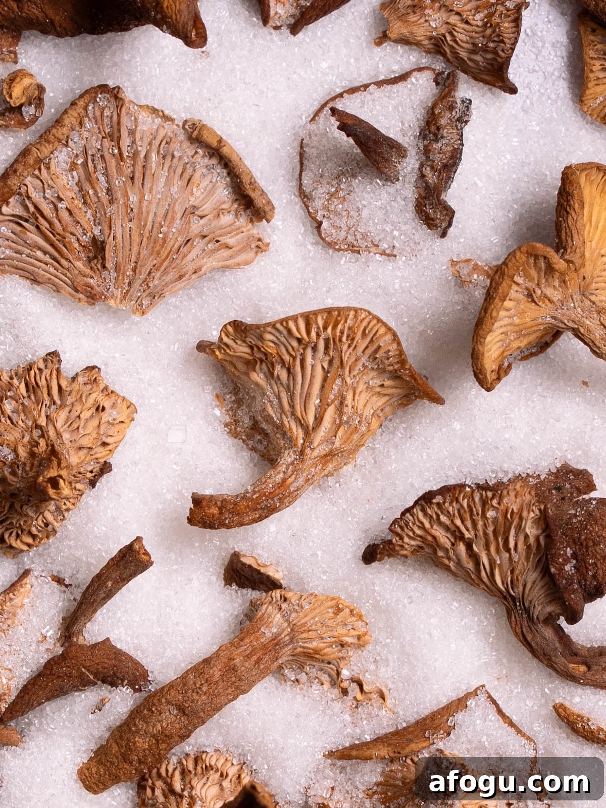 Dried candy cap mushrooms in sugar