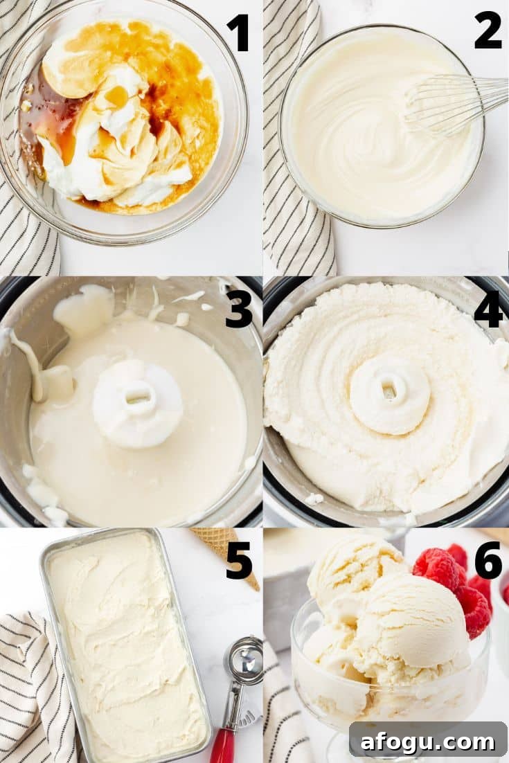 6 photos of the steps needed to make this frozen yogurt recipe in an ice cream maker.