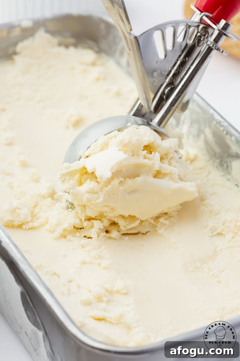 a metal pan filled with homemade frozen yogurt. A metal ice cream scoop is creating a scoop