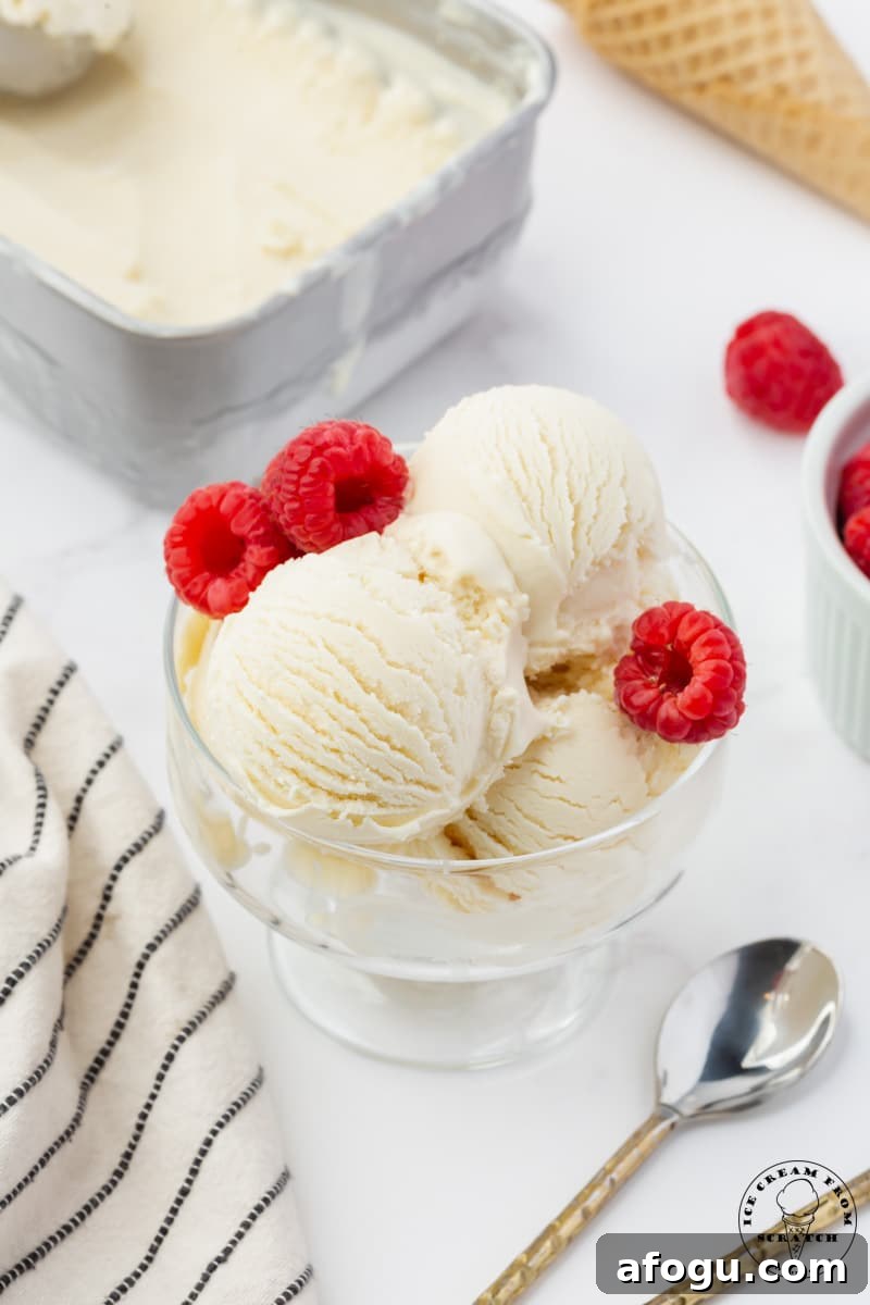 scoops of vanilla frozen yogurt in a glass ice crem dish, garnished with fresh raspberries.