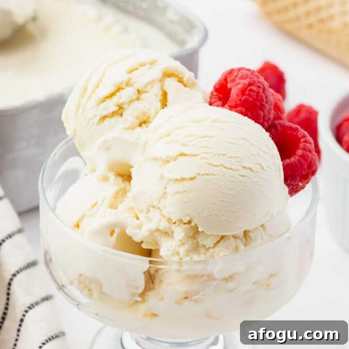 a footed glass dish filled with scooops of homemade frozen yogurt, garnished with fresh raspberries. In the background is a metal bread pan filled with frozen yogurt and a stack of ice cream cones.