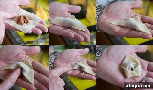 Step by step pictures of How to Wrap a Wonton