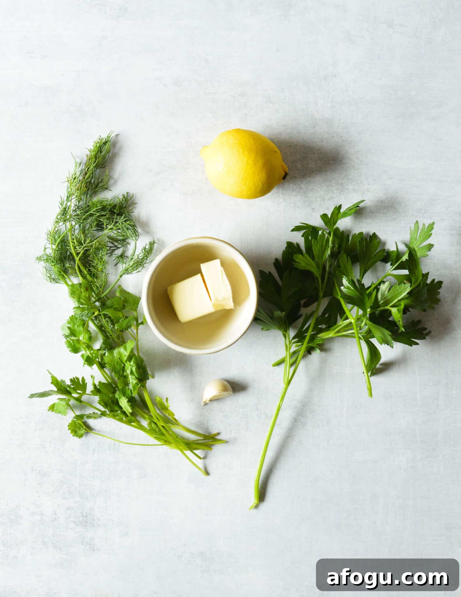 dill, parsley, cilantro, lemon, butter, garlic. 