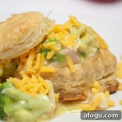 Puff Pastry with broccoli, chicken, and shredded cheddar cheese on a white plate
