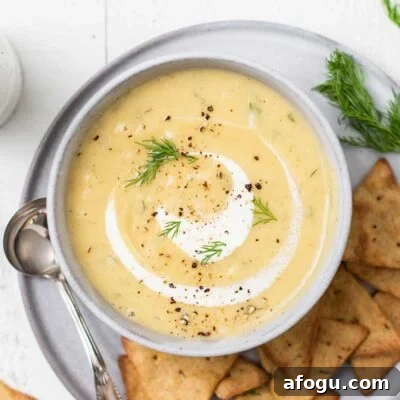 A bowl of winter root vegetable soup swirled with cream and garnished with dill.