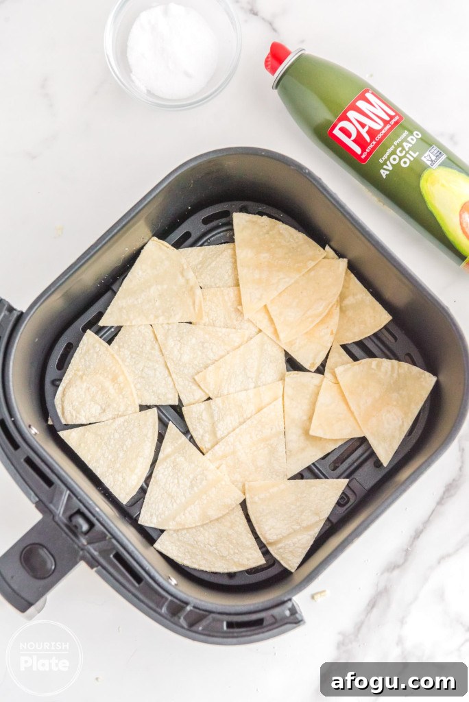 Crispy Air Fryer Tortilla Chips Recipe for Homemade Snacking 6 tortilla chips in the air fryer basket before air frying