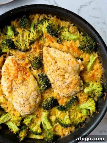 Freshly baked chicken and broccoli risoni in a pan