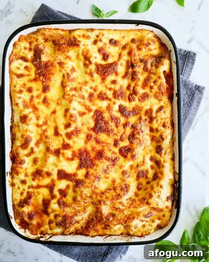An overhead shot of freshly baked lasagna sat on top of grey kitchen towel. The cheesy top is baked to golden perfection. Fresh basil leaves in the background for decoration