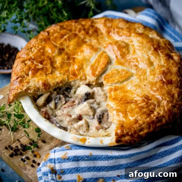 Chicken and mushroom pie