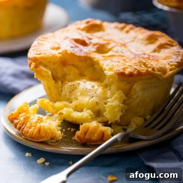 Cheese and onion pie