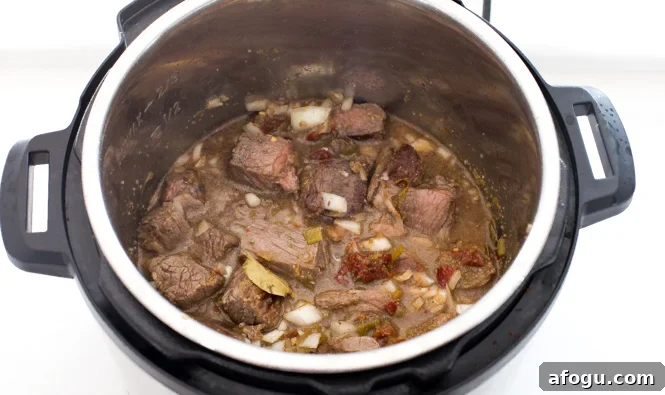 adding broth, spices and chipotles to Instant Pot