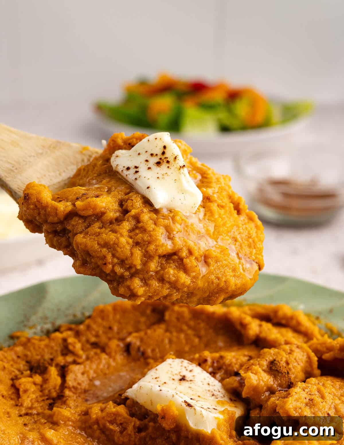 a spoonful of mashed sweet potatoes with butter and cinnamon on top. 