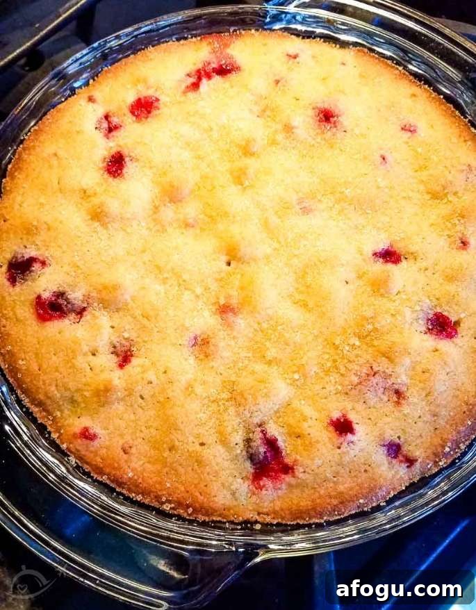 full cranberry pie in a glass pie plate