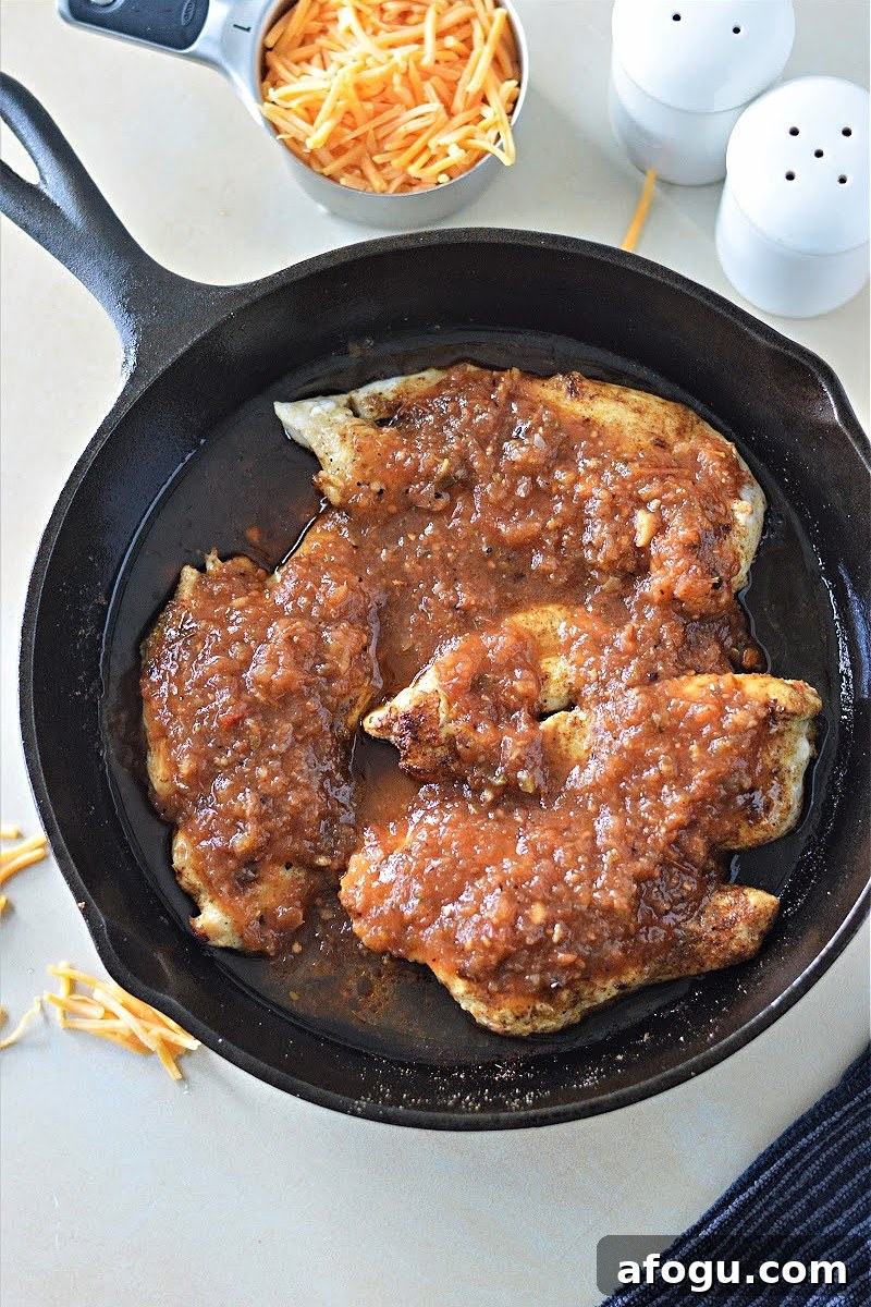 Low-Carb Salsa Chicken
