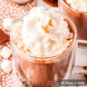 Close-up of a mug of Swig Nutcracker hazelnut hot chocolate with a swirl of whipped cream and a dusting of cocoa, surrounded by mini marshmallows and chocolate pieces.