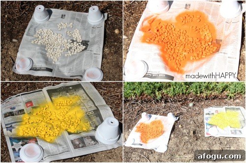spray-painted-lima-beans