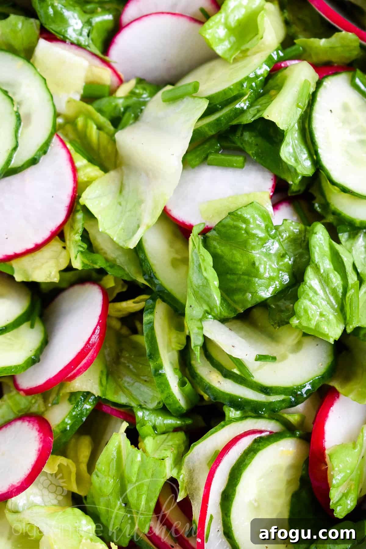 Serving suggestion lettuce radish salad