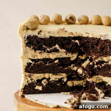 Chocolate Cookie Dough Cake