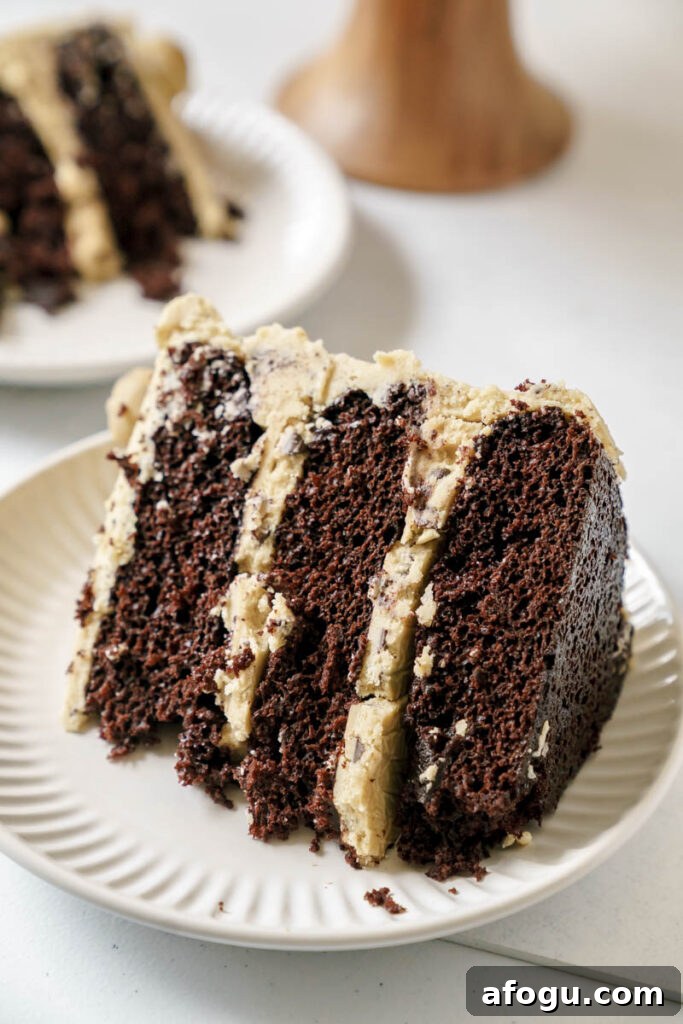 Cake slice