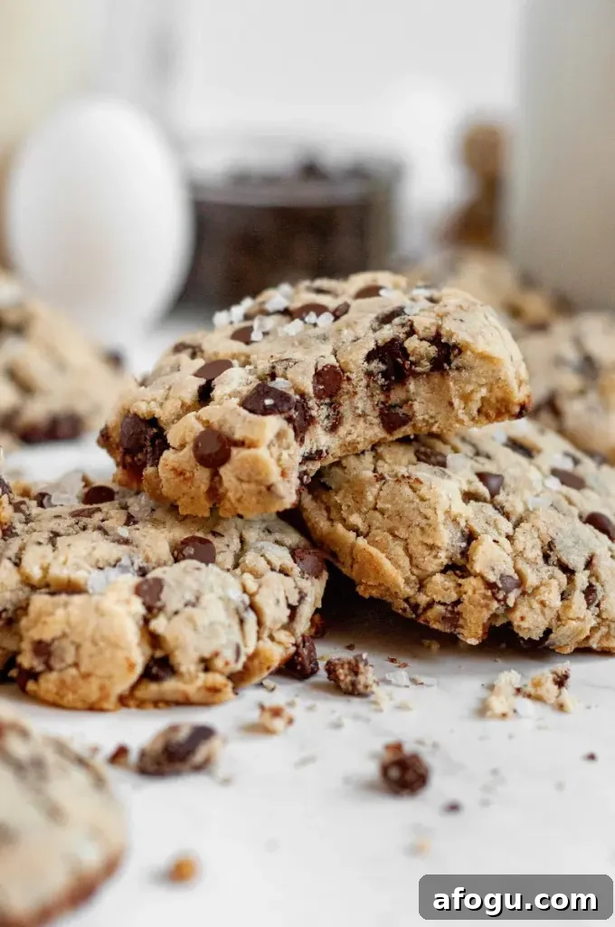 Light golden sugar-free chocolate chip cookies loaded with sugar-free chocolate chips.