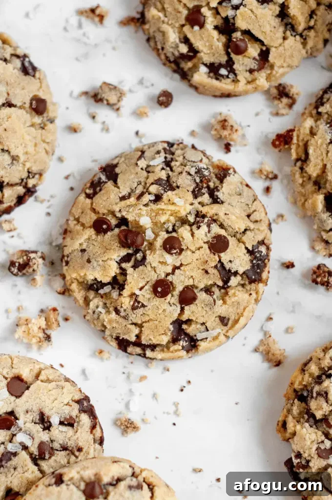 Light golden sugar-free chocolate chip cookies loaded with sugar-free chocolate chips.
