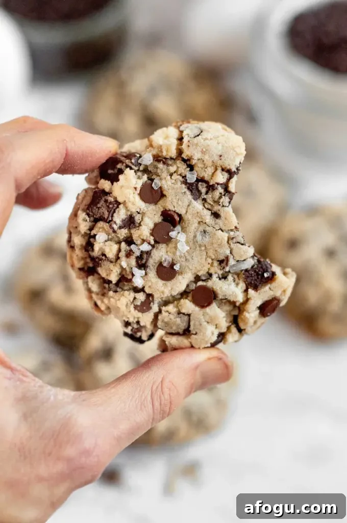Light golden sugar-free chocolate chip cookies loaded with sugar-free chocolate chips.