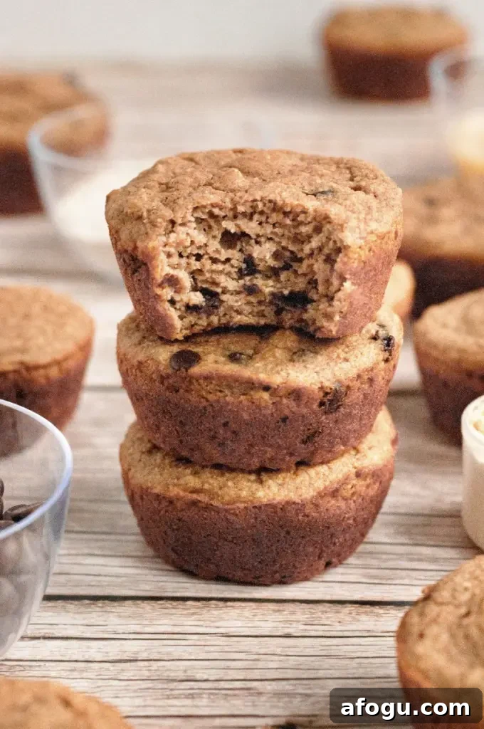 Golden brown protein muffins with mini chocolate chips.