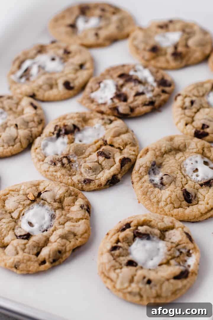 S'mores Cookies on a sheet pan