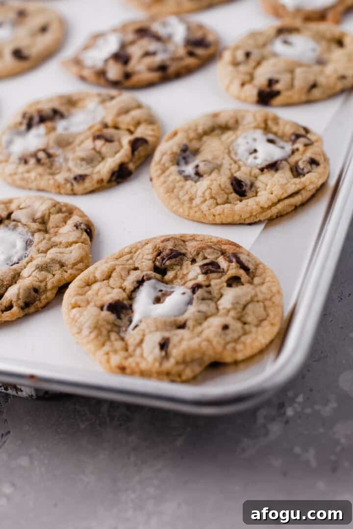 close up of cookies on silver pan