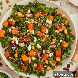 Roasted sweet potatoes and kale salad with cranberries, pecans, toasted pepitas and other ingredients.
