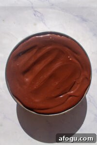 img 5638 12