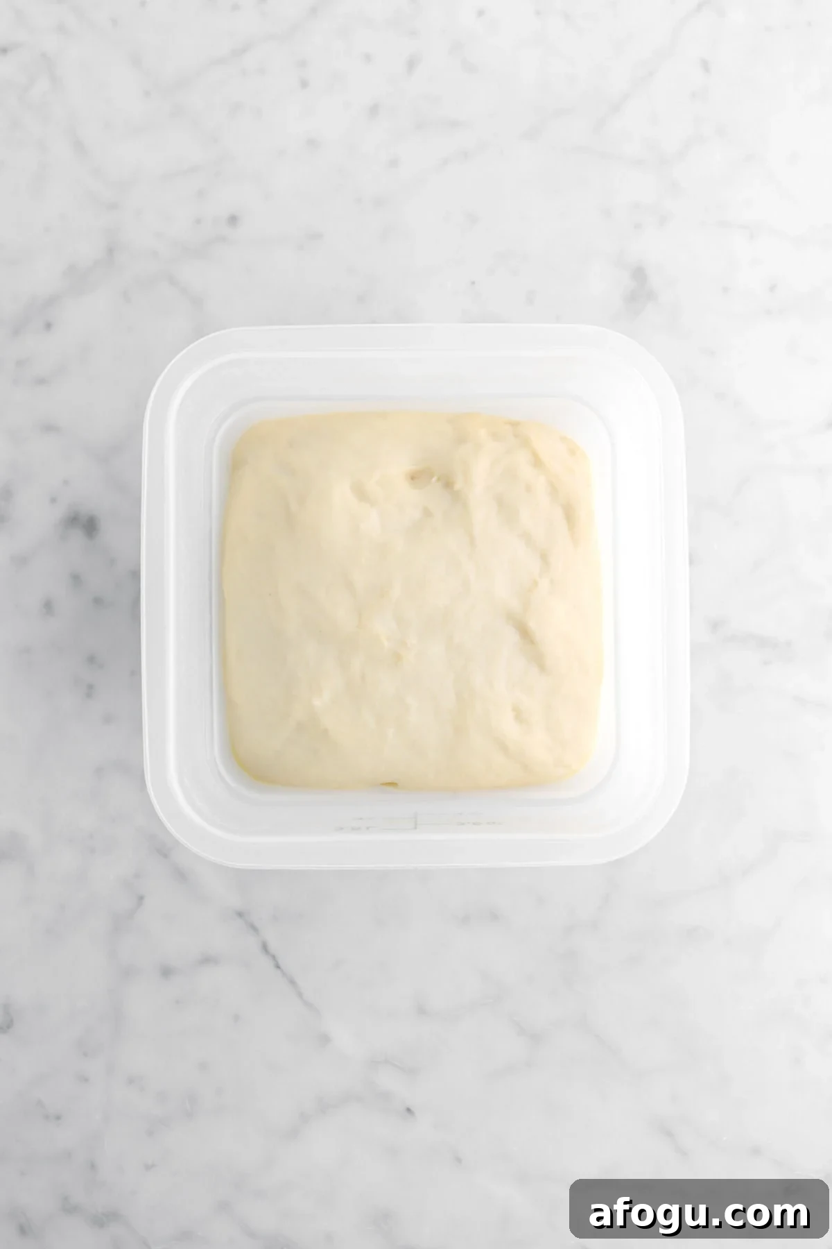 proved dough in plastic container.