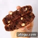 Hand holding a thick chocolate cookies
